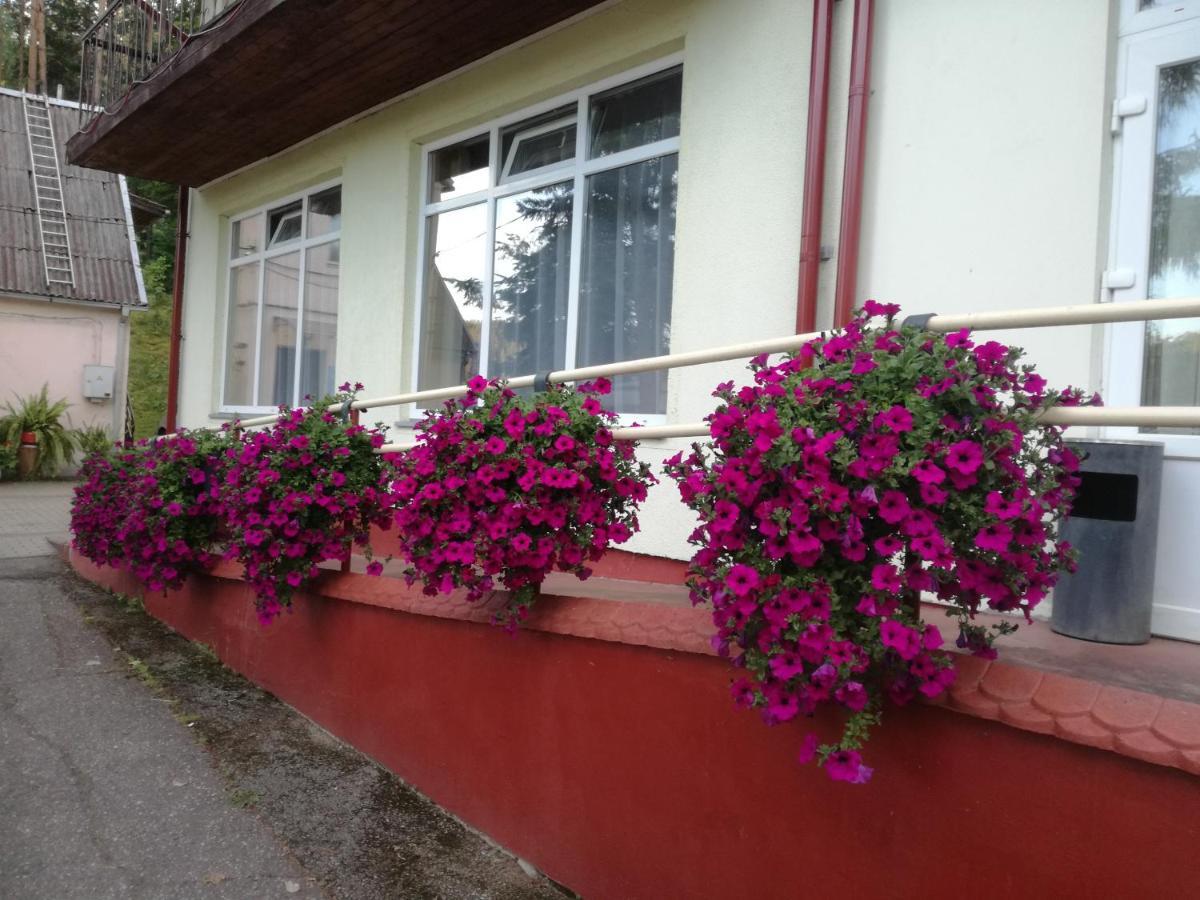 Sveciu Namai Aldaivita Ignalina Exterior photo