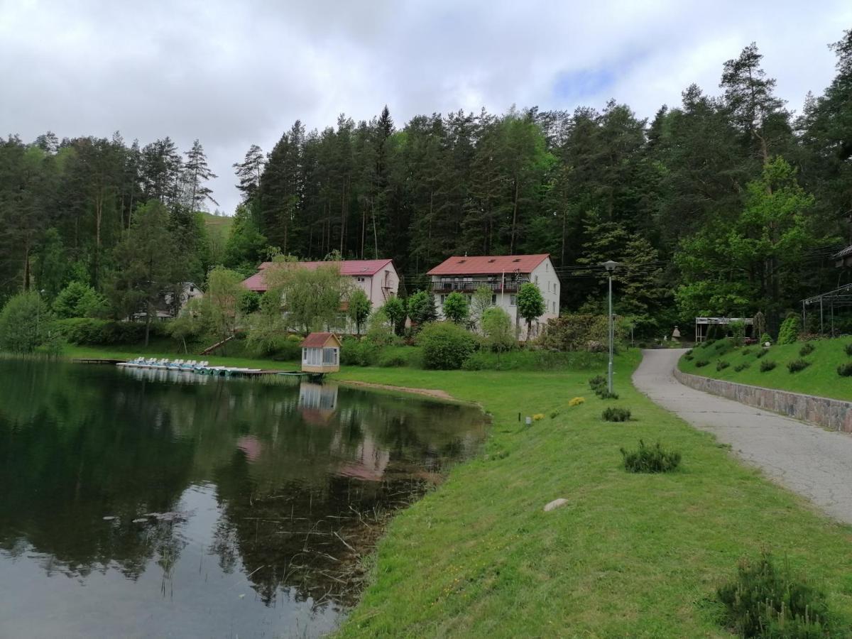 Sveciu Namai Aldaivita Ignalina Exterior photo