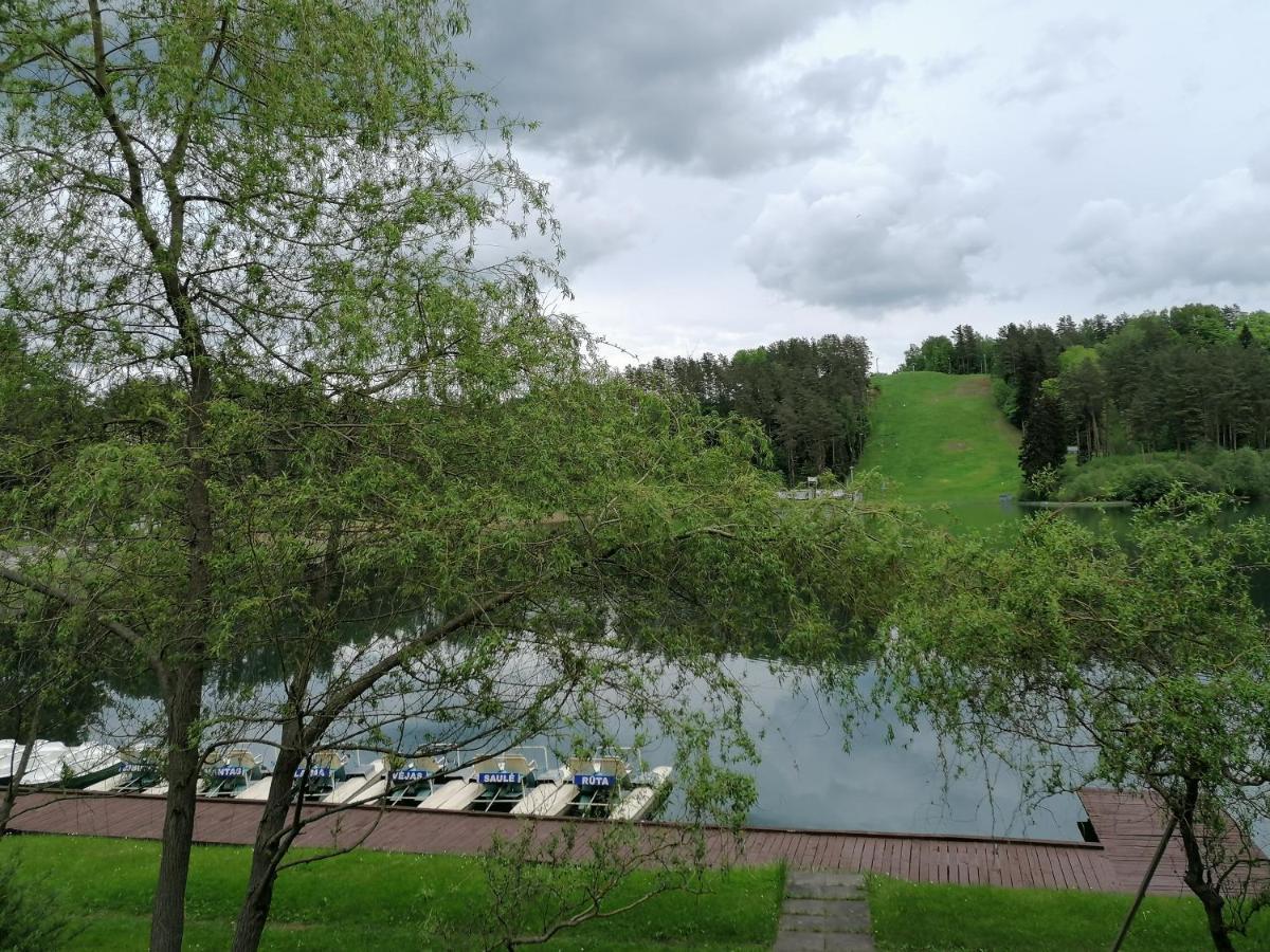Sveciu Namai Aldaivita Ignalina Exterior photo