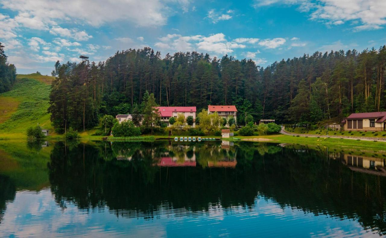 Sveciu Namai Aldaivita Ignalina Exterior photo